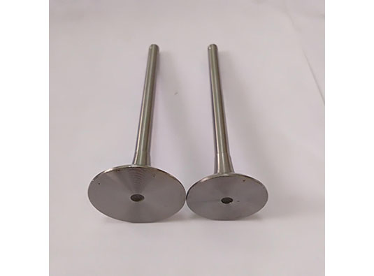 Deutz FL912 engine Inlet valve and Exhaust valve