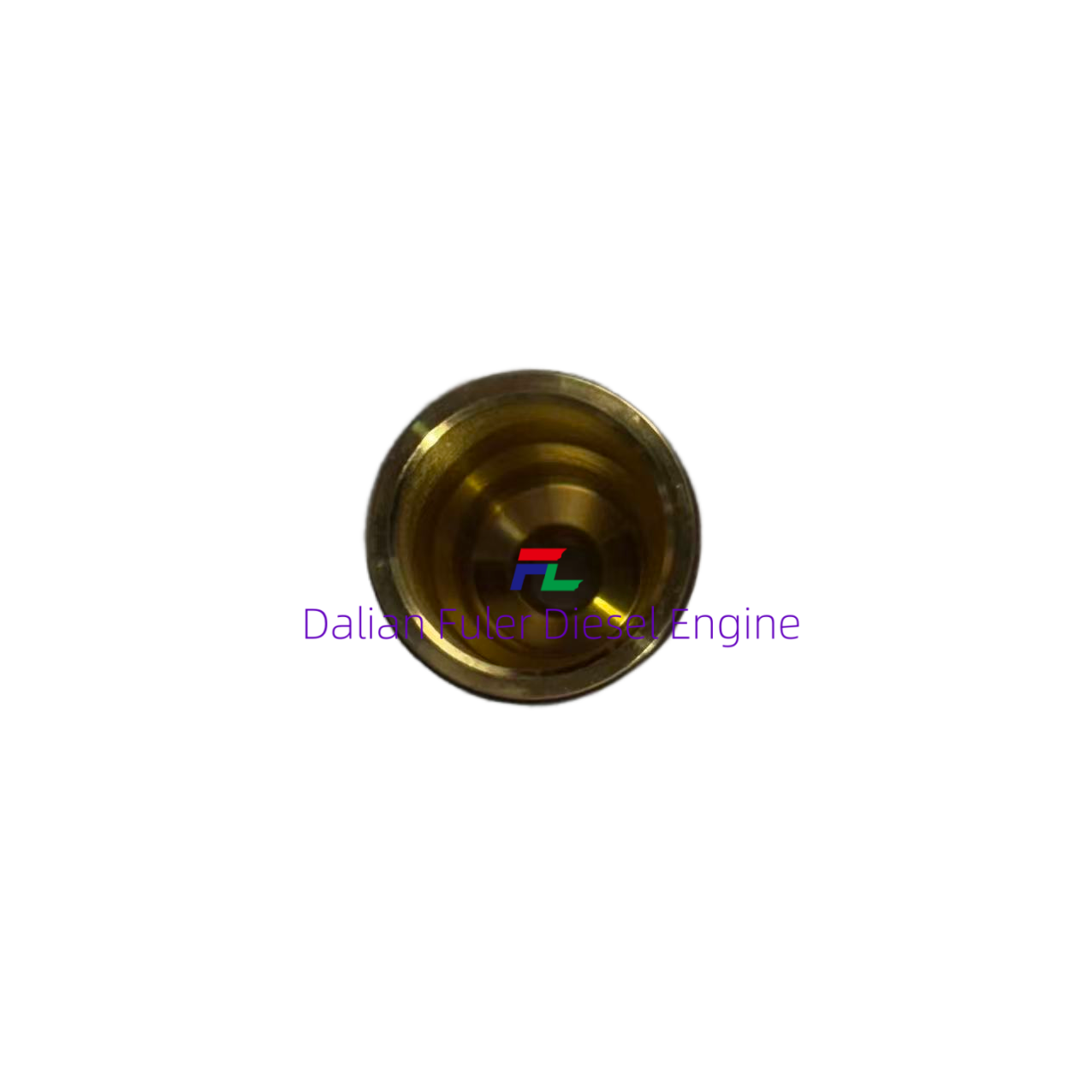 04250074    Valve guide  BF4M2013C